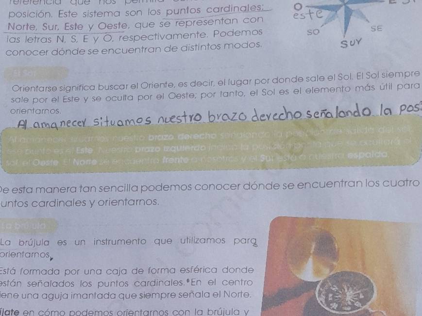 refefencia que nos pen 
posición. Este sistema son los puntos cardinales: 
Norte, Sur, Este y Oeste, que se representan con 
las letras N, S, E y O, respectivamente. Podemos so SE 
conocer dónde se encuentran de distintos modos. 
SUY 
Orientarse significa buscar el Oriente, es decir, el lugar por donde sale el Sol. El Sol siempre 
sale por el Este y se oculta por el Oeste; por tanto, el Sol es el elemento más útil para 
orientarnos. 
Al amanecer scamos nuestio brazo derecho senalondo la pr 
d d u n t o es el Este, Neesto prazo izquierdo indico la pusició n pr 
sol el Oeste. El Norte se encuentro frente a nesotros y el Sur está a du espaida 
De esta manera tan sencilla podemos conocer dónde se encuentran los cuatro 
untos cardinales y orientarnos. 
La brújula es un instrumento que utilizamos para 
orientarnos. 
Está formada por una caja de forma esférica donde 
están señalados los puntos cardinales.ºEn el centro 
iene una aguja imantada que siempre señala el Norte. 
flate en cómo podemos orientarnos con la brújula v