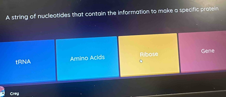 A string of nucleotides that contain the information to make a specific protein
Gene
tRNA Amino Acids Ribose
Crey