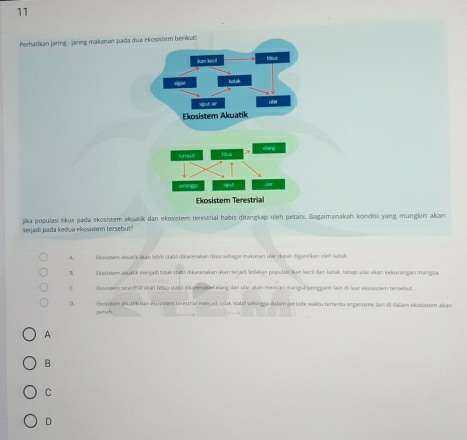 Perhatikan jaring - jaring makanan pada du
jika populasi tikus pada ekosistem akwatik dan ekosistem terestrial habis ditangkap oleh petani. Bagaimanakah kondisi yang munglun akan
serjadi pada kedua ekositem tersebut?
A Ekoshtem alsark akan lebch stabd dikarenakan tikus selbagai makanan ular dapaï digantikan olich katak.
B Ekouiztem akujatk menjadi tidak stabil dikaenakan akan terjadi ledakan populni ikan kecil dan katak, tetapi ular akan kekurangan mangsa.
C. dsuein serestaï akan top stabl fikaterakan elang dan ularakan mencan mangsa pengr anti lain di luar ekosistem tersebut.
0 Exosistem akuatk dan ekösistem terestral menarl tsak vabil sehingga dalam periode waktu tertentu organisme lain di dalam ekosistem akan
punah
A
B
C
D