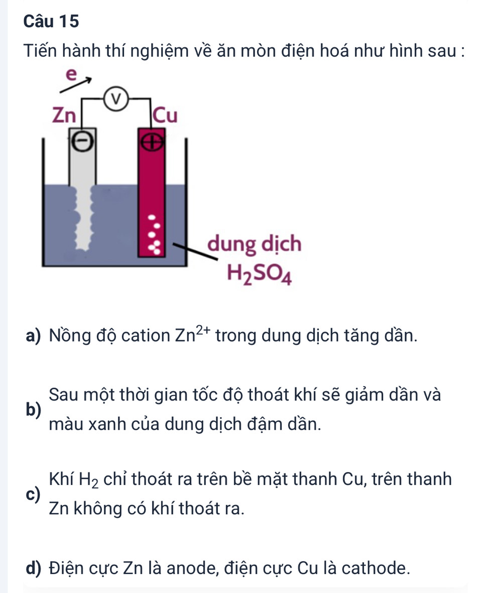 Tiến hành thí nghiệm về ăn mòn điện hoá như hình sau :
a) Nồng độ cation Zn^(2+) trong dung dịch tăng dần.
Sau một thời gian tốc độ thoát khí sẽ giảm dần và
b)
màu xanh của dung dịch đậm dần.
Khí H_2 chỉ thoát ra trên bề mặt thanh Cu, trên thanh
c)
Zn không có khí thoát ra.
d) Điện cực Zn là anode, điện cực Cu là cathode.