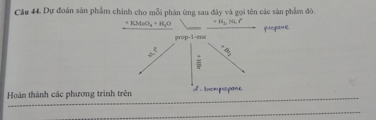 Dự đoán sản phẩm chính cho mỗi phản ứng sau đây và gọi tên các sản phẩm đó.
+KMnO_4+H_2O
+H_2,Ni,t°
prop-1-ene 
_ 3
beginarrayr 4 10 hline 15endarray
2 - b 
Hoàn thành các phương trình trên