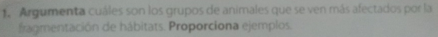 Argumenta cuáles son los grupos de animales que se ven más afectados por la 
fragmentación de hábitats. Proporciona ejemplos.