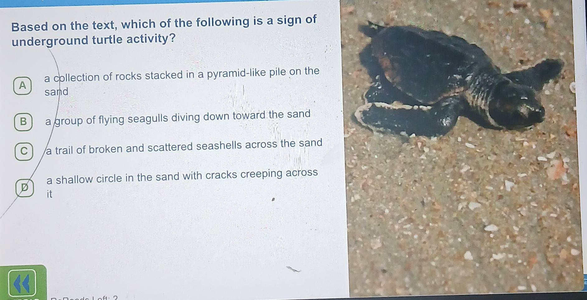 Solved: Based on the text, which of the following is a sign of ...