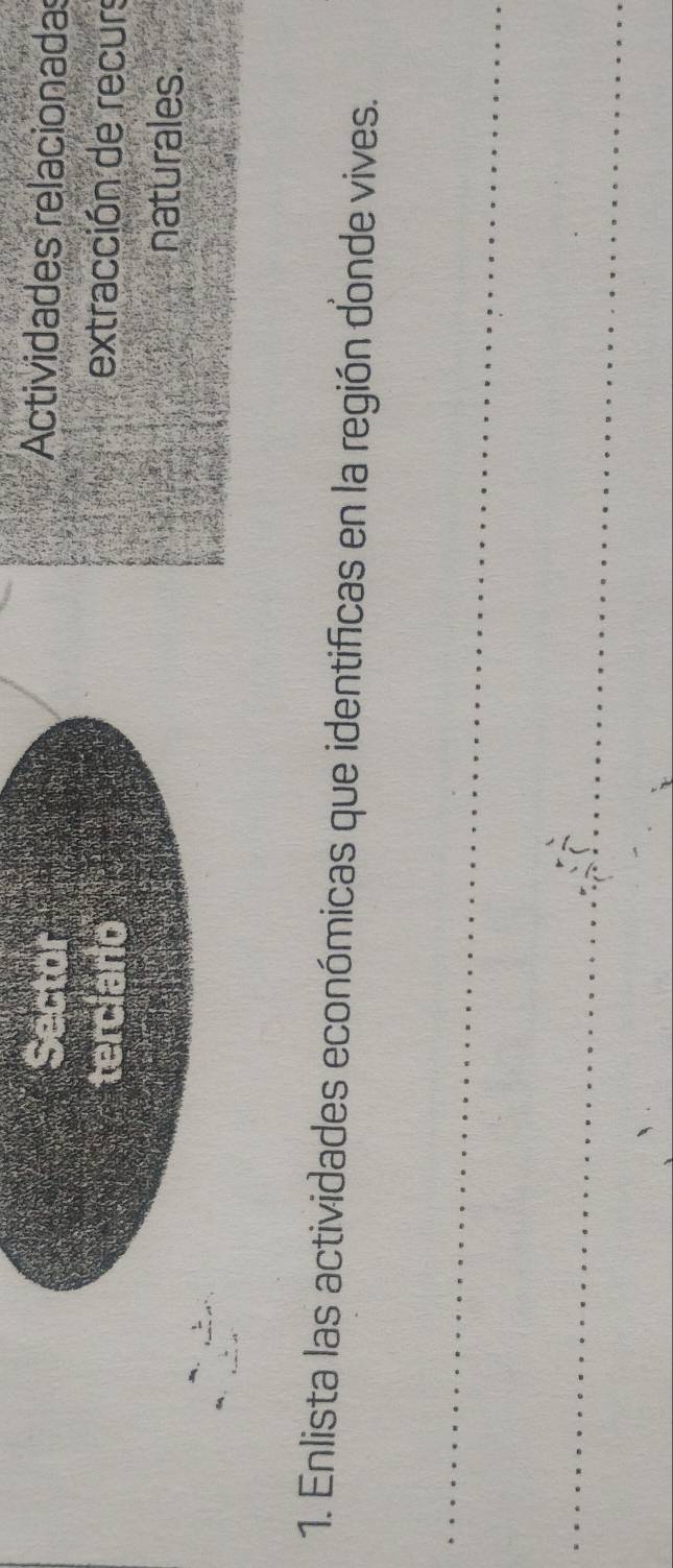 Sector Actividades relacionadas 
terciario extracción de recurs 
naturales. 
1. Enlista las actividades económicas que identificas en la región donde vives. 
_ 
_