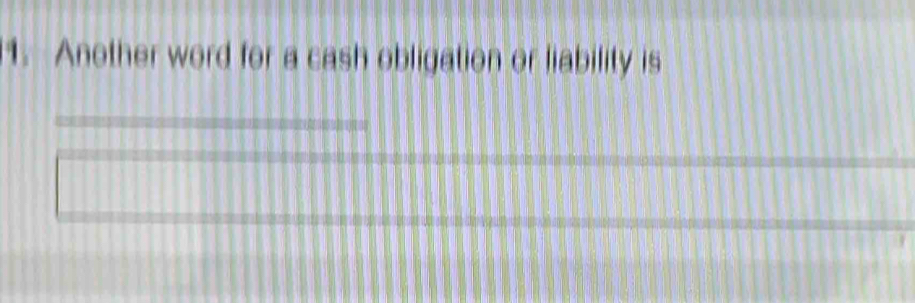 Another word for a cash obligation or liability is