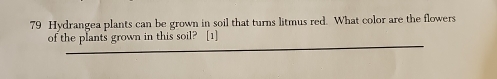 Hydrangea plants can be grown in soil that turns litmus red. What color are the flowers 
_ 
of the plants grown in this soil? [1]