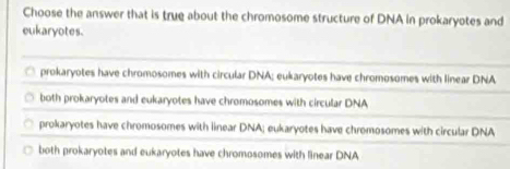 Choose the answer that is true about the chromosome structure of DNA in prokaryotes and
eukaryotes.
prokaryotes have chromosomes with circular DNA; eukaryotes have chromosomes with linear DNA
both prokaryotes and eukaryotes have chromosomes with circular DNA
prokaryotes have chromosomes with linear DNA; eukaryotes have chromosomes with circular DNA
both prokaryotes and eukaryotes have chromosomes with linear DNA