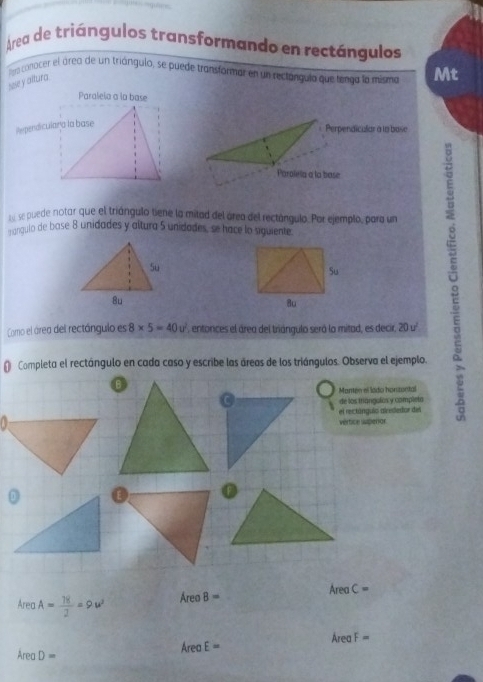 Area de triángulos transformando en rectángulos 
Pera conacer el área de un triángulo, se puede transformar en un rectángulo que tenga la mismo Mt 
see y altura 
Perpendicalar a lo base 
Parolela a la base 
u e quede notar que el triángulo tiene la mitad del área del rectángulo. Por ejemplo, para un 
angqulo de base 8 unidades y altura 5 unidades, se hace lo siquiente 
Como el área del rectángulo es 8* 5=40u^2 , entonces el área del triángulo será la mitad, es decir, 20 u 
( Completa el rectángulo en cada caso y escribe las áreas de los triángulos. Observa el ejemplo. 
de los triangolos y completo
AreaC=
AreaA= 78/2 =9u^2 AreoB=
AreaF=
Area E=
AreaD=