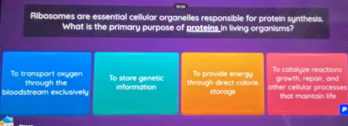 Ribosomes are essential cellular organelles responsible for protein synthesis.
What is the primary purpose of proteins in living organisms?
To transport axygen To provide energy To catalyze reactions growth, repair, and
bloodstream exclusively through the To store genetic
information through direct calorie storage other cellular processes that maintain life