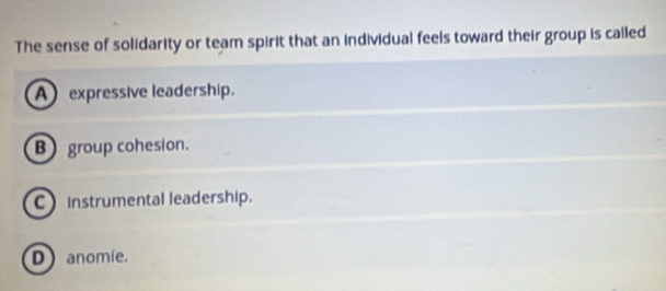 The sense of solidarity or team spirit that an individual feels toward their group is called
A expressive leadership.
B)group cohesion.
C) instrumental leadership.
D anomíe.