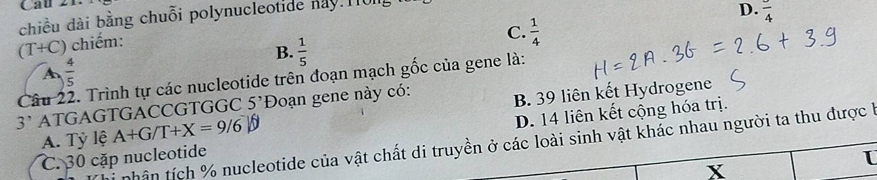 chiều dài bằng chuỗi polynucleotide nay.110
D. frac 4
(T+C) chiếm:
C.  1/4 
B.  1/5 
A  4/5 
Câu 22. Trình tự các nucleotide trên đoạn mạch gốc của gene là:
3' ATGAGTGACCGTGGC 5^, Đoạn gene này có:
A. Tỷ lệ A+G/T+X=9/6^-|θ B. 39 liên kết Hydrogene
C. 30 cặp nucleotide D. 14 liên kết cộng hóa trị.
hị nhận tích % nucleotide của vật chất di truyền ở các loài sinh vật khác nhau người ta thu được h
Y