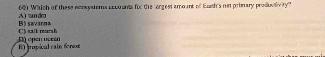 Which of these ecosystems accounts for the largest amount of Earth's net primary productivity?
A) tundra
B) savanna
C) salt marsh
D) open ocean
E) ropical rain forest