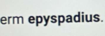 erm epyspadius.