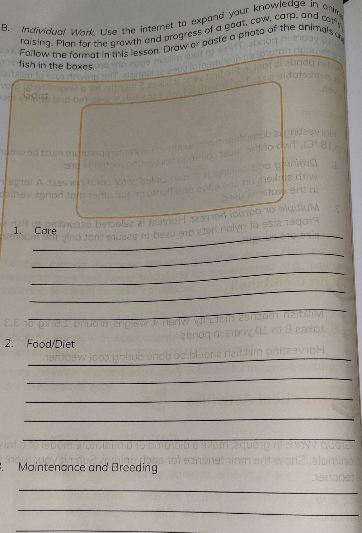 Individual Work. Use the internet to expand your knowledge in anima 
raising. Plan for the growth and progress of a goat, cow, carp, and catfis 
Follow the format in this lesson. Draw or paste a photo of the animals an 
fish in the boxes. 
__ 
1. Care 
_ 
_ 
_ 
__ 
2. Food/Diet 
_ 
_ 
_ 
_ 
_ 
Maintenance and Breeding 
_ 
_ 
_