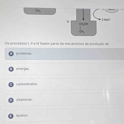 CH_2
Os processos I, II e III fazem parte de mecanismos de produção de
A proteínas.
B energia.
C carboidratos.
D vitaminas.
Elipídios.