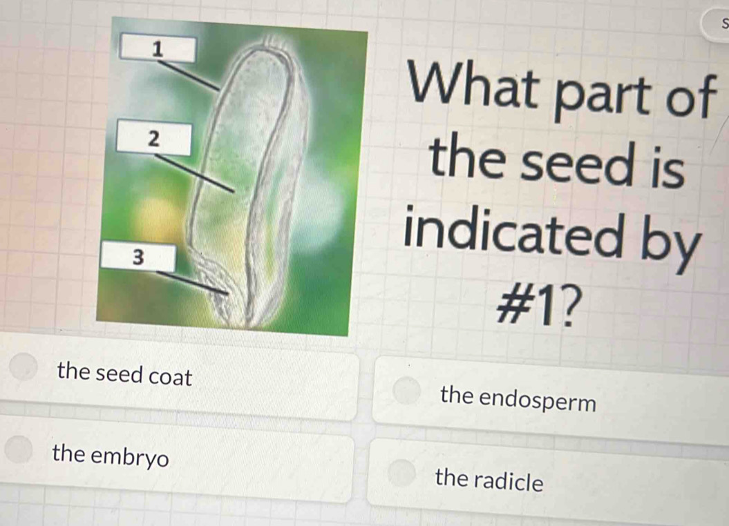 Solved: What part of the seed is indicated by #1? the seed coat the ...