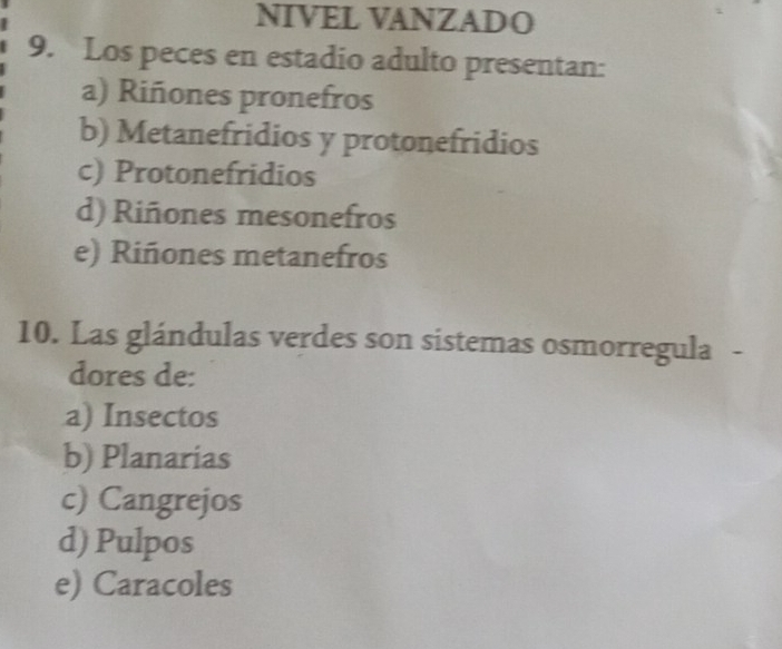 NIVEL VANZADO
9. Los peces en estadio adulto presentan:
a) Riñones pronefros
b) Metanefridios y protonefridios
c) Protonefridios
d) Riñones mesonefros
e) Riñones metanefros
10. Las glándulas verdes son sistemas osmorregula -
dores de:
a) Insectos
b) Planarias
c) Cangrejos
d) Pulpos
e) Caracoles