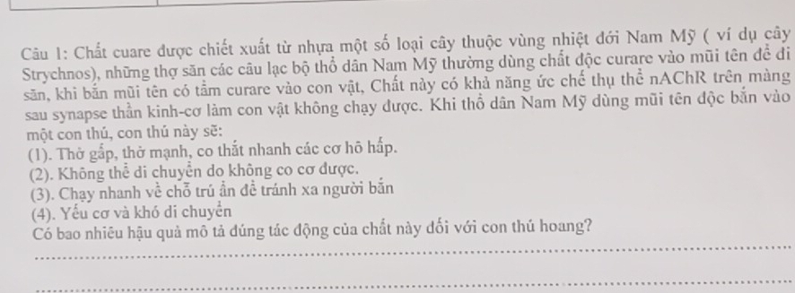 Chất cuare được chiết xuất từ nhựa một số loại cây thuộc vùng nhiệt đới Nam Mỹ ( ví dụ cây
Strychnos), những thợ săn các câu lạc bộ thổ dân Nam Mỹ thường dùng chất độc curare vào mũi tên để đi
săn, khi bắn mũi tên có tầm curare vào con vật, Chất này có khả năng ức chế thụ thể nAChR trên màng
sau synapse thần kinh-cơ làm con vật không chạy được. Khi thổ dân Nam Mỹ dùng mũi tên độc bắn vào
một con thú, con thú này sẽ:
(1). Thờ gấp, thờ mạnh, co thắt nhanh các cơ hô hấp.
(2). Không thể di chuyển do không co cơ được.
(3). Chạy nhanh về chỗ trú ẩn đề tránh xa người bắn
(4). Yểu cơ và khó di chuyển
_
Có bao nhiêu hậu quả mô tả dúng tác động của chất này đối với con thú hoang?
_