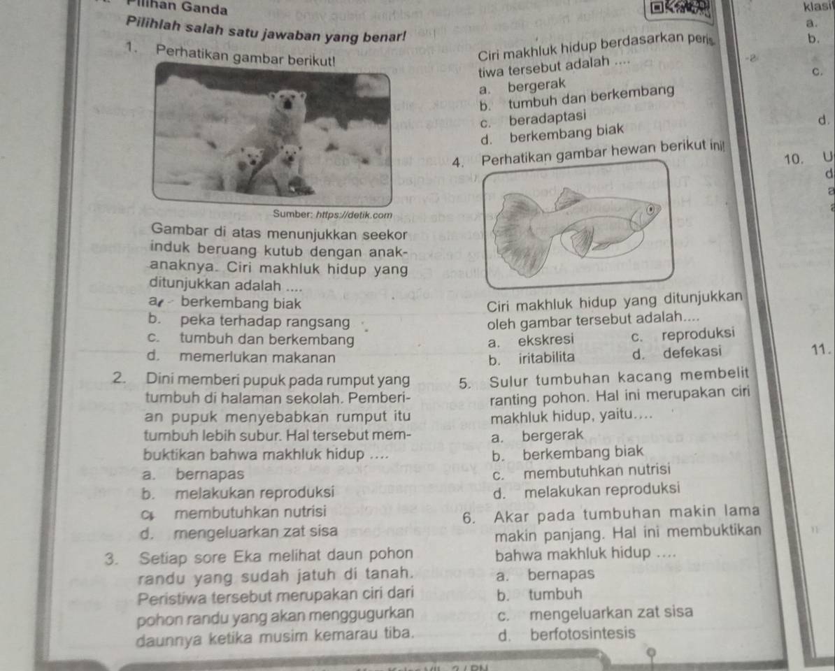 Pilíhan Ganda klasi
        
a.
Pilihlah salah satu jawaban yang benar!
1. Perhatikan gambar berikut!
Ciri makhluk hidup berdasarkan peri
b.
tiwa tersebut adalah ....
-
C.
a. bergerak
b. tumbuh dan berkembang
c. beradaptasi
d.
d. berkembang biak
4.mbar hewan berikut ini
10.  U
d
a
ps://detik.com
Gambar di atas menunjukkan seekor
induk beruang kutub dengan anak-
anaknya. Ciri makhluk hidup yang
ditunjukkan adalah ....
a  berkembang biak Ciri makhluk hidup yang ditunjukkan
b. peka terhadap rangsang oleh gambar tersebut adalah....
c. tumbuh dan berkembang a. ekskresi c. reproduksi
d. memerlukan makanan b. iritabilita d. defekasi
11.
2. Dini memberi pupuk pada rumput yang 5. Sulur tumbuhan kacang membelit
tumbuh di halaman sekolah. Pemberi-
ranting pohon. Hal ini merupakan ciri
an pupuk menyebabkan rumput itu makhluk hidup, yaitu....
tumbuh lebih subur. Hal tersebut mem- a. bergerak
buktikan bahwa makhluk hidup .... b. berkembang biak
a. bernapas
c. membutuhkan nutrisi
b. melakukan reproduksi d. melakukan reproduksi
c membutuhkan nutrisi
d. mengeluarkan zat sisa 6. Akar pada tumbuhan makin lama
makin panjang. Hal ini membuktikan
3. Setiap sore Eka melihat daun pohon bahwa makhluk hidup ....
randu yang sudah jatuh di tanah. a. bernapas
Peristiwa tersebut merupakan ciri dari b. tumbuh
pohon randu yang akan menggugurkan c. mengeluarkan zat sisa
daunnya ketika musim kemarau tiba. d. berfotosintesis