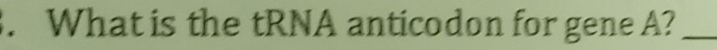 What is the tRNA anticodon for gene A?_