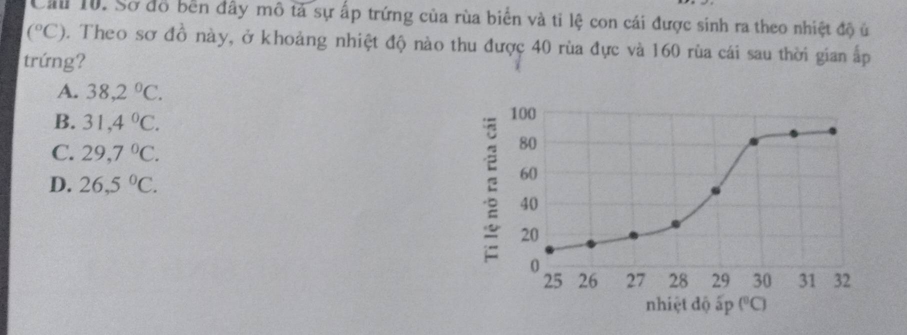 Cảu 10. Sơ đồ bền đây mô tả sự ấp trứng của rùa biển và tỉ lệ con cái được sinh ra theo nhiệt độ ủ
(^circ C) 0. Theo sơ đồ này, ở khoảng nhiệt độ nào thu được 40 rùa đực và 160 rùa cái sau thời gian ấp
trứng?
A. 38,2°C.
B. 31,4°C.
C. 29,7°C.
D. 26,5°C.