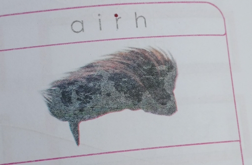 a i r h