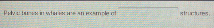 Pelvic bones in whales are an example of □ structures.