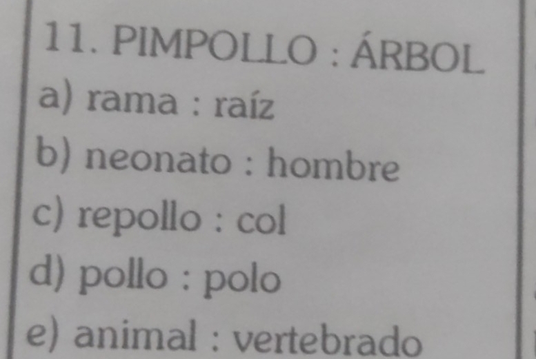 PIMPOLLO : ÁRBOL
a) rama : raíz
b) neonato : hombre
c) repollo : col
d) pollo : polo
e) animal : vertebrado