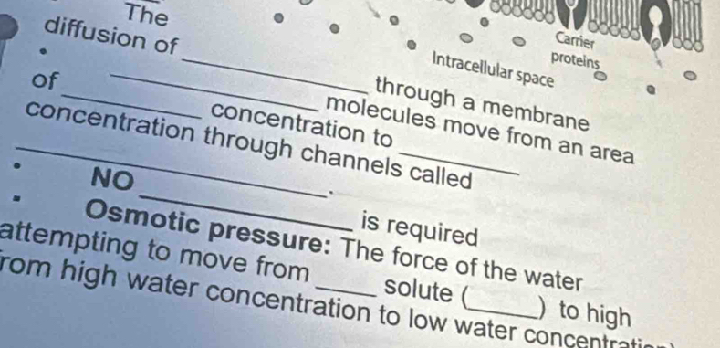 The 
Carrier 
proteins 
Intracellular space 
diffusion of_ through a membrane 
of_ _concentration to 
molecules move from an area 
_concentration through channels called 
NO 
_. 
is required 
Osmotic pressure: The force of the water 
attempting to move from _solute (_ ) to high 
rom high water concentration to low water concentratin