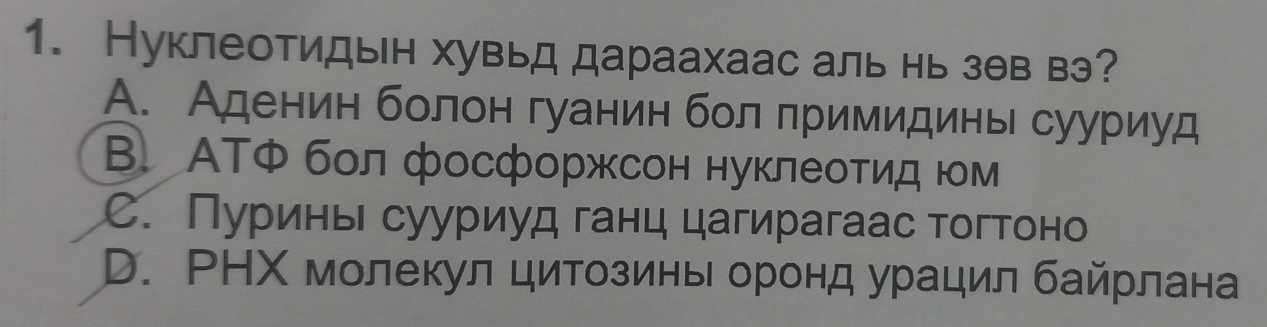 Нуклеотидын хувьд дараахаас аль нь зθв вэ?
A. Аденин болон гуанин бол лримидинь сууриуд
B. АΤФбол фосфоржсон нуклеотид юм
C. Пуринь сууриуд ганц цагирагаас тогтоно
D. РНΧ молекул цитозинь оронд урацил байрлана