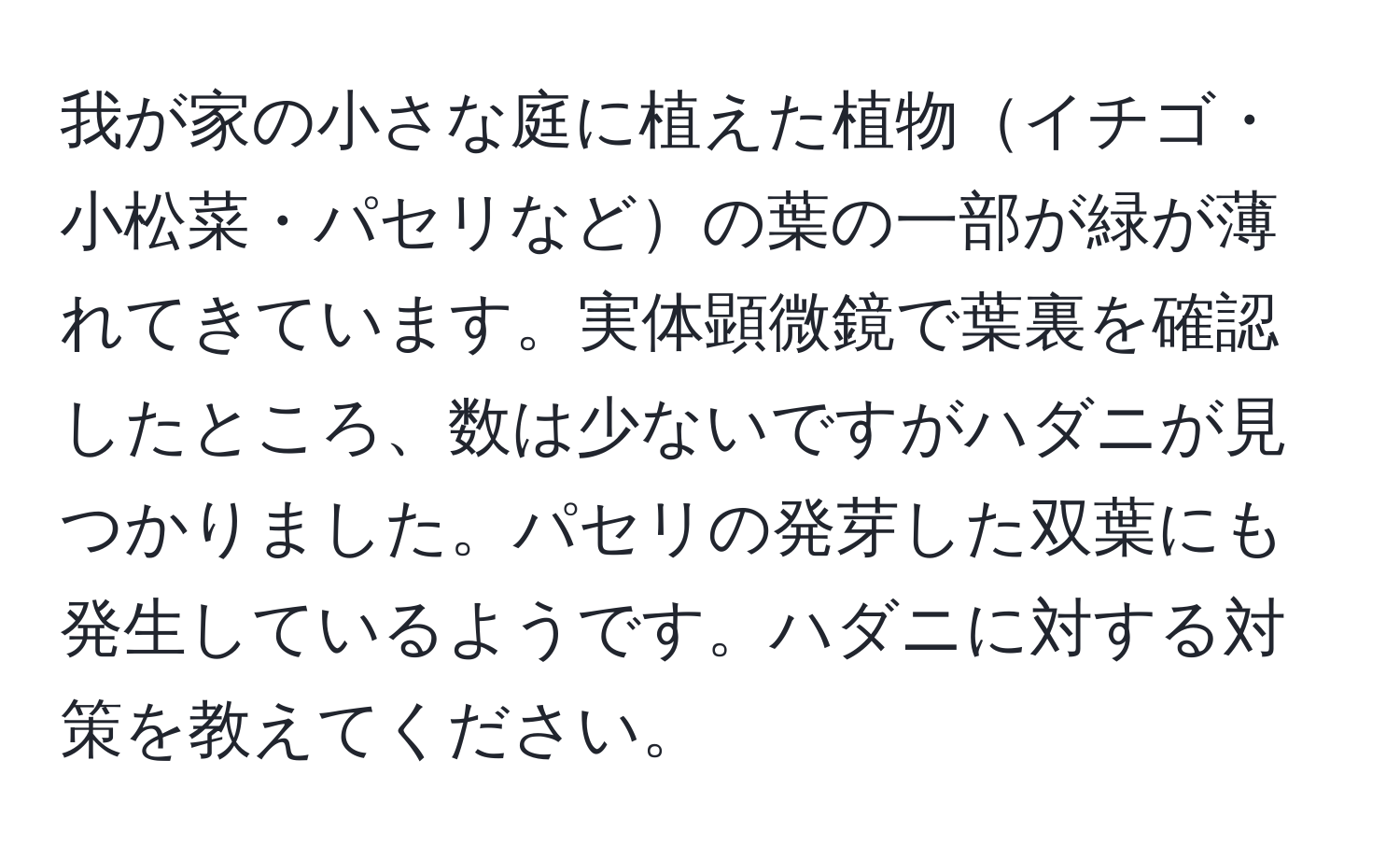 我が家の小さな庭に植えた植物イチゴ・小松菜・パセリなどの葉の一部が緑が薄れてきています。実体顕微鏡で葉裏を確認したところ、数は少ないですがハダニが見つかりました。パセリの発芽した双葉にも発生しているようです。ハダニに対する対策を教えてください。