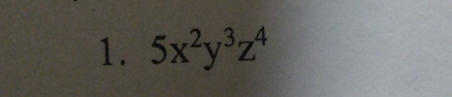 5x^2y^3z^4