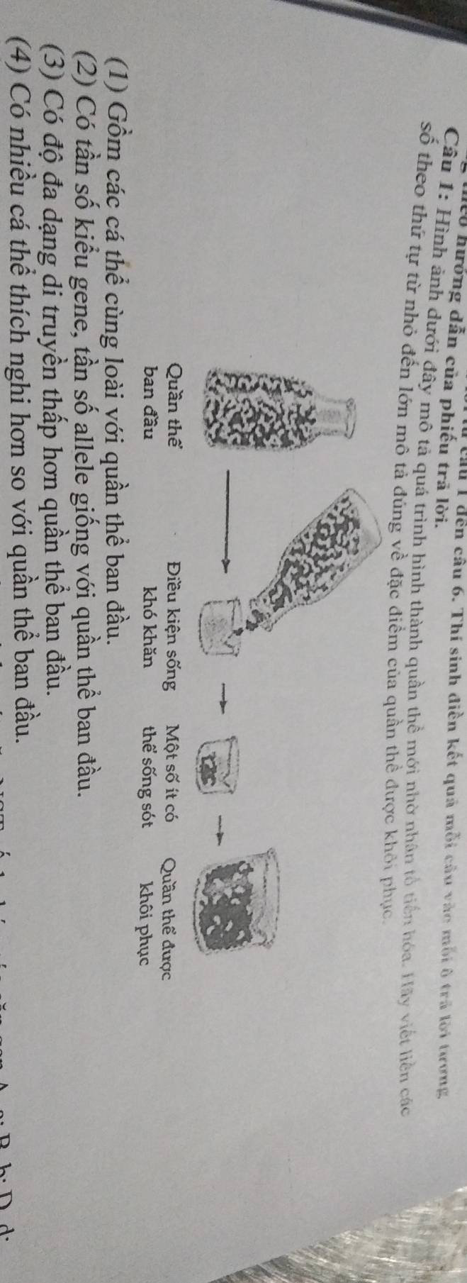 Cầu 1 đến câu 6. Thí sinh điền kết quả mỗi câu vào mỗi ô trả lời tương, 
Có hưởng dẫn của phiếu trã lời. 
Câu 1: Hình ảnh dưới đây mô tả quá trình hình thành quần thể mới nhờ nhân tổ tiến hóa. Hãy viết liền các 
số theo thứ tự từ nhỏ đến lớn mô tả đúng về đặc điểm của quần thể được khỏi p 
Quần thể Điều kiện sống Một số ít có Quần thể được 
ban đầu khó khǎn thể sống sót khôi phục 
(1) Gồm các cá thể cùng loài với quần thể ban đầu. 
(2) Có tần số kiểu gene, tần số allele giống với quần thể ban đầu. 
(3) Có độ đa dạng di truyền thấp hơn quần thể ban đầu. 
(4) Có nhiều cá thể thích nghi hơn so với quần thể ban đầu.