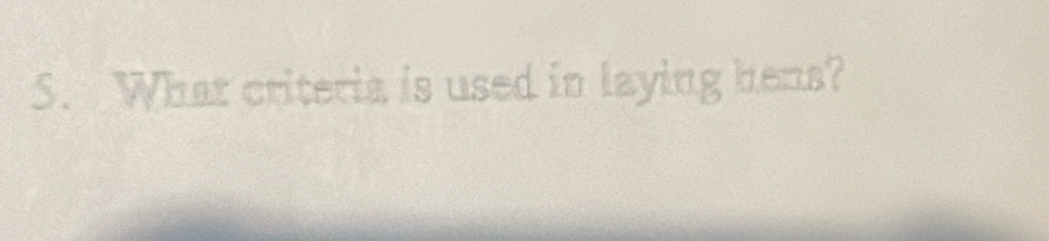 What criteria is used in laying hens?