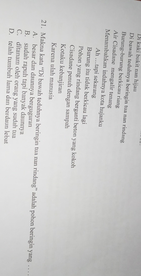 Di kaki bukit nan hijau
Di bawah teduhnya beringin tua nan rindang
Burung-burung berkicau riang
Air Cisadane mengalir tenang
Menambahkan indahnya kota hujanku
Ah …tapi sekarang
Burung itu tidak berkicau lagi
Pohon yang rindang berganti beton yang kokoh
Cisadane penuh dengan sampah
Kotaku kebanjiran
Karena ulah manusia
21. Makna kata “Di bawah teduhnya beringin tua nan rindang” adalah pohon beringin yang . . .
A. besar dan daunnya berguguran
B. sudah rapuh tapi banyak daunnya
C. ditanam oleh orang yang sudah tua
D. telah tumbuh lama dan berdaun lebat