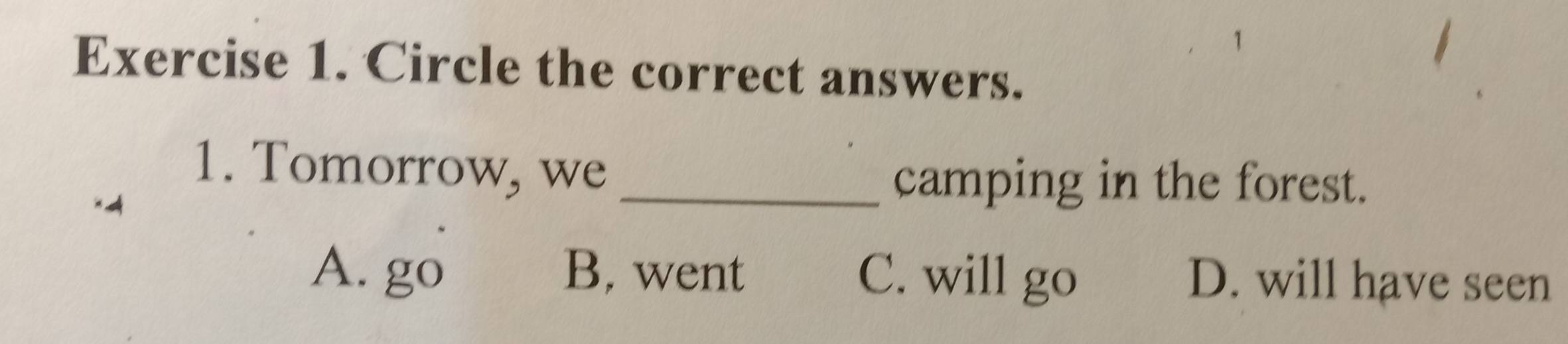 Circle the correct answers.
1. Tomorrow, we
_camping in the forest.
A. go B, went C. will go D. will have seen