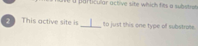 ive a particular active site which fits a substrat 
2 This active site is _to just this one type of substrate.