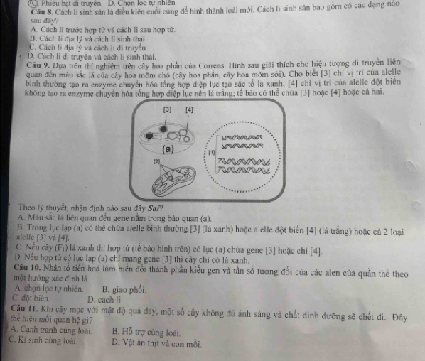 C. Phiêu bạt di truyên. D. Chọn lọc tự nhiên.
Câu 8. Cách li sinh sản là điều kiện cuối cùng để hình thành loài mới. Cách lĩ sinh sản bao gồm có các đạng nao
sau dāy?
A. Cách li trước hợp tử và cách li sau hợp tử.
B. Cách li địa lý và cách li sinh thái
C. Cách li địa lý và cách li di truyền.
D. Cách li di truyền và cách li sinh thái.
Câu 9. Dựa trên thí nghiệm trên cây hoa phần của Correns. Hình sau giải thích cho hiện tượng di truyền liên
quan đến màu sắc lá của cây hoa mõm chó (cây hoa phần, cây hoa mõm sói). Cho biết [3] chỉ vị trí của alel]e
bình thường tạo ra enzyme chuyển hóa tổng hợp điệp lục tạo sắc tố lá xanh; [4] chỉ vị trí của alelle đột biển
không tạo ra enzyme chuyển hóa tổng hợp điệp lục nền lá trắng; tế bào có thể chứa [3] hoặc [4] hoặc cả hai.
Theo lý thuyết, nhận định nào sau đây Sai?
A. Màu sắc lá liên quan đến gene nằm trong bảo quan (a).
B. Trong lục lạp (a) có thể chứa alelle binh thường [3] (lá xanh) hoặc alelle đột biển [4] (lá trắng) hoặc cả 2 loại
alelle [3] và [4].
C. Nếu cây (Fị) lá xanh thi hợp tử (tế bào hình trên) có lục (a) chứa gene [3] hoặc chỉ [4].
D. Nếu hợp tử có lục Iạp (a) chỉ mang gene [3] thì cây chỉ có lá xanh.
Câu 10. Nhân tổ tiến hoá làm biển đổi thành phần kiểu gen và tần số tương đối của các alen của quần thể theo
một hướng xác định là
A. chọn lọc tự nhiên. B. giao phối.
C. đột biển. D. cách li
Câu 11. Khi cây mọc với mật độ quá đây, một số cây không đủ ánh sáng và chất dinh dưỡng sẽ chết đi. Đây
thể hiện mối quan hệ gi?
A. Cạnh tranh cùng loài. B. Hỗ trợ cùng loài.
C. Kí sinh cùng loài. D. Vật ăn thịt và con mồi.