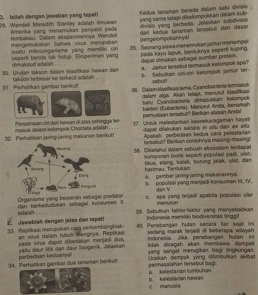 Isilah dengan jawaban yang tepat! Kedua tanaman berada dalam satu divisio
29. Wendell Meredith Stanley adalah ilmuwan yang sama tetapi dikelompokkan dalam sub-
Amerika yang menemukan penyakit pada divisio yang berbeda. Jelaskan subdivisio
tembakau. Dalam eksperimennya Wendell dari kedua tanaman tersebut dan dasar
mengemukakan bahwa virus merupakan pengelompokannya!
suatu mikroorganisme yang memiliki ciri 35. Seorang siswa menemukan jamur menempel
seperti benda tak hidup. Eksperimen yang pada kayu lapuk, bentuknya seperti kuping,
dimaksud adalah . . . . dapat dimakan sebagai sumber protein.
30. Urutan takson dalam klasifikasi hewan dari a. Jamur tersebut termasuk kelompok apa?
takson terbesar ke terkecil adalah . . . . b. Sebutkan ciri-ciri kelompok jamur ter-
sebut!
31. Perhatikan gambar berikut!
36. Dalam klasifikasi lama, Cyanobacteria termasuk
dalam alga. Akan tetapi, menurut klasifikasi
baru Cyanobacteria dimasukkan kelompok
bakteri (Eubacteria). Menurut Anda, benarkah
pernyataan tersebut? Berikan alasan Anda!
Persamaan ciri dari hewan di atas sehingga ter- 37. Untuk melestarikan keanekaragaman hayati
masuk dalam kelompok Chordata adalah . . . . dapat dilakukan secara in situ dan ex situ.
32. Perhatikan jaring-jaring makanan berikut! Apakah perbedaan kedua cara pelestarian
tersebut? Berikan contohnya masing-masing!
38. Diketahui dalam sebuah ekosistem terdapat
komponen biotik seperti populasi padi, ular,
tikus, elang, katak, burung jalak, ulat, dan
harimau. Tentukan:
a. gambar jaring-jaring makanannya
b. populasi yang menjadi konsumen III, IV,
dan V
Organisme yang berperan sebagai predator c. apa yang terjadi apabila populasi ular
dan berkedudukan sebagai konsumen II menurun
adalah . . . . 39. Sebutkan faktor-faktor yang menyebabkan
E. Jawablah dengan jelas dan tepat! Indonesia memiliki biodiversitas tinggi!
33. Replikasi merupakan cara perkembangbiak- 40. Penebangan hutan secara liar saat ini
an virus dalam tubuh inangnya. Replikasi sedang marak terjadi di beberapa wilayah
pada virus dapat dibedakan menjadi dua, Indonesia. Jika penebangan hutan ini
yaitu daur litik dan daur lisogenik. Jelaskan tidak dicegah akan membawa dampak
perbedaan keduanya! yang sangat merugikan bagi lingkungan.
34. Perhatikan gambar dua tanaman berikut! Uraikan dampak yang ditimbulkan akibat
permasalahan tersebut bagi:
a. kelestarian tumbuhan
b. kelestarian hewan
c. manusia