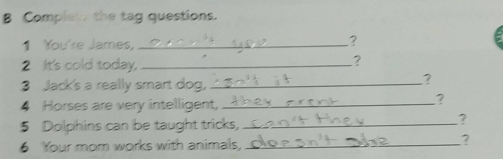 Complets the tag questions. 
1 You're James,_ 
2 It's cold today,_ 
? 
3 Jack's a really smart dog,_ 
2 
4 Horses are very intelligent,_ 
5 Dolphins can be taught tricks,_ 
? 
6 Your mom works with animals,_ 
?