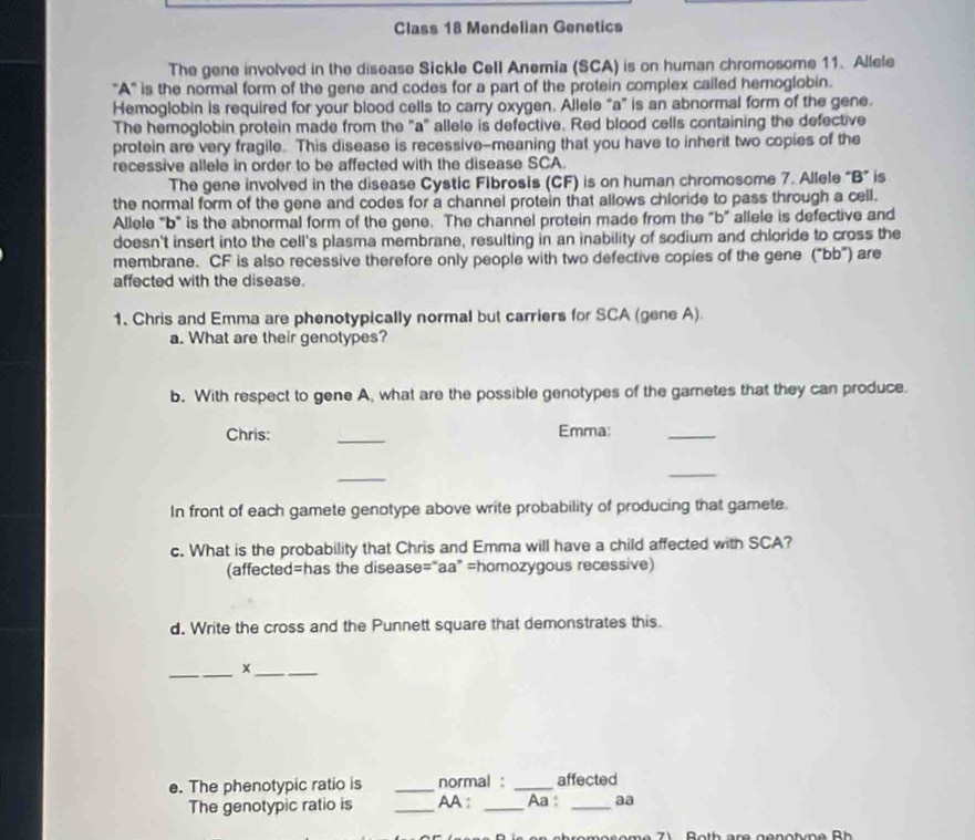 Class 18 Mendelian Genetics 
The gene involved in the disease Sickle Cell Anemia (SCA) is on human chromosome 11. Allele 
''A''' is the normal form of the gene and codes for a part of the protein complex cailed hemoglobin. 
Hemoglobin is required for your blood cells to carry oxygen. Allele “a” is an abnormal form of the gene. 
The hemoglobin protein made from the "a" allele is defective. Red blood cells containing the defective 
protein are very fragile. This disease is recessive-meaning that you have to inherit two copies of the 
recessive allele in order to be affected with the disease SCA. 
The gene involved in the disease Cystic Fibrosis (CF) is on human chromosome 7. Allele “ B ” is 
the normal form of the gene and codes for a channel protein that allows chloride to pass through a cell. 
Allele "b" is the abnormal form of the gene. The channel protein made from the "b” allele is defective and 
doesn't insert into the cell's plasma membrane, resulting in an inability of sodium and chloride to cross the 
membrane. CF is also recessive therefore only people with two defective copies of the gene ("bb”) are 
affected with the disease. 
1. Chris and Emma are phenotypically normal but carriers for SCA (gene A). 
a. What are their genotypes? 
b. With respect to gene A, what are the possible genotypes of the gametes that they can produce. 
Chris: _Emma: 
_ 
_ 
_ 
In front of each gamete genotype above write probability of producing that gamete. 
c. What is the probability that Chris and Emma will have a child affected with SCA? 
(affected=has the disease=“aa” =homozygous recessive) 
d. Write the cross and the Punnett square that demonstrates this. 
_ 
_x 
e. The phenotypic ratio is _normal : _affected 
The genotypic ratio is _AA: _Aa: _aa 
romosome 71 Both are genotyn e B