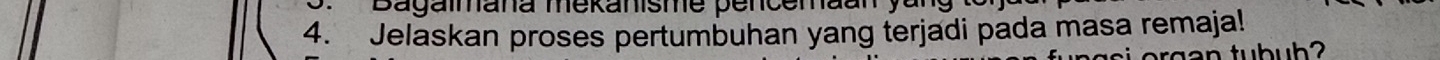 Bagaimana mekanisme pencemaan y a 
4. Jelaskan proses pertumbuhan yang terjadi pada masa remaja! 
t g a n tubuh ?