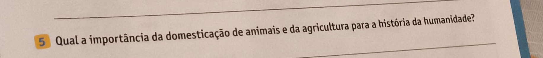 5 ) Qual a importância da domesticação de animais e da agricultura para a história da humanidade?