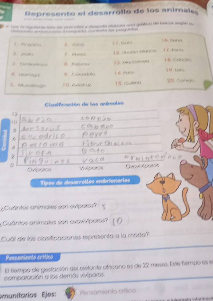 Represento el desarróllo de los animales

E « Lee la siguiente lista de animales y despoñs etabora una gráfica de barras según su
seconala embnanane tnesg ina, conesta las pregintas
1. Rngüne 6. 9969 11.Golo 16, tiong.
2 19 7、 Moea 12. tibuión blanse 17 Pero
3. Oinilomneo 6. Palema. 13. Mantaraya 19. Caballo
4. Hormigo 9. Cocednio 1 4. Palo. 19. 19
5. Murtlag 10. Avestru 15. Gallina 20. Conejo
Clasticación de los animales
_
12
_
_
to
_
1 B
_
6
A
2
_
_
0
_
Oviparos Viviporos Ovovivíparos
Tipos de desarrollos embrionarios
¿Cuántos animales son eviparos?
¿Cuántos animales son ovovivíparos? 10
_
Cuál de las clasificaciones representa a la moda?
_
Pensamiento crítico
El tiempo de gestación del elefante africano es de 22 meses. Este tiempo es el
comparación a los demás viviparos.
munitarios Ejes: Pensamiento crítico