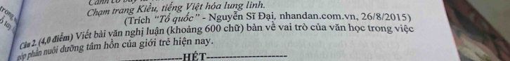 Chạm trang Kiều, tiếng Việt hóa lung linh. 
(Trích “Tổ quốc” - Nguyễn Sĩ Đại, nhandan.com.vn, 26/8/2015) 
rong tay 
Cảm 2. (4,0 điểm) Viết bài văn nghị luận (khoảng 600 chữ) bàn về vai trò của văn học trong việc 
góp phân nuôi dưỡng tâm hồn của giới trẻ hiện nay. 
Hét