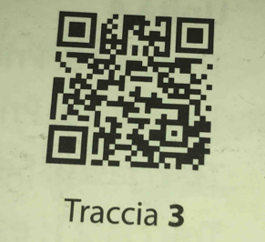 Traccia 3