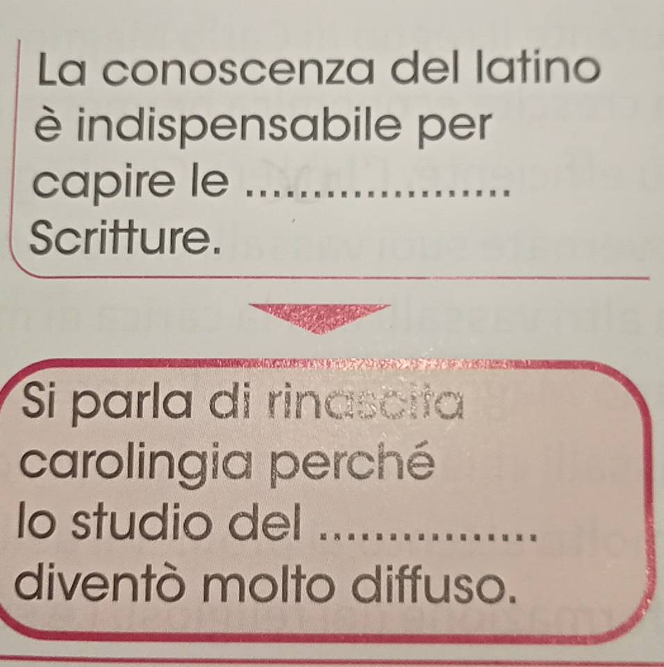 La conoscenza del latino 
è indispensabile per 
capire le 
Scritture. 
Si parla di rinascita 
carolingia perché 
lo studio del 
diventò molto diffuso.