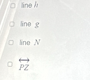 line /1
line g
line N
overleftrightarrow PZ