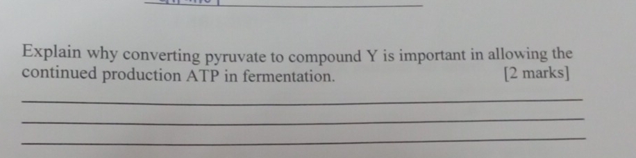 Explain why converting pyruvate to compound Y is important in allowing the 
continued production ATP in fermentation. [2 marks] 
_ 
_ 
_