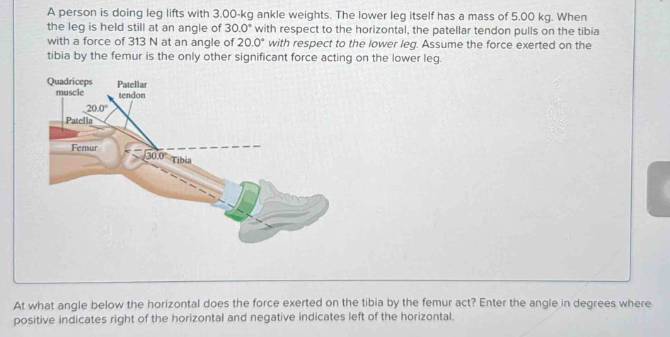 A person is doing leg lifts with 3.00-kg ankle weights. The lower leg itself has a mass of 5.00 kg. When
the leg is held still at an angle of 30.0° with respect to the horizontal, the patellar tendon pulls on the tibia
with a force of 313 N at an angle of 20.0° with respect to the lower leg. Assume the force exerted on the
tibia by the femur is the only other significant force acting on the lower leg.
At what angle below the horizontal does the force exerted on the tibia by the femur act? Enter the angle in degrees where
positive indicates right of the horizontal and negative indicates left of the horizontal.